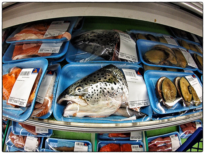 Fish eye fish - with fish eye lens