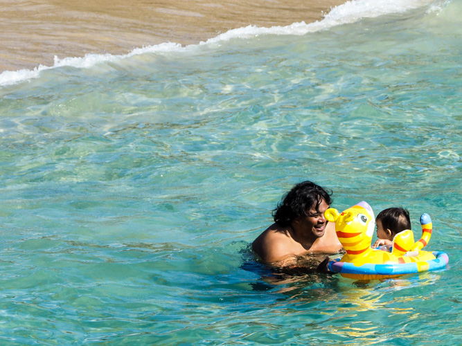 Got gentle Hawaiian Dad's and small kids.