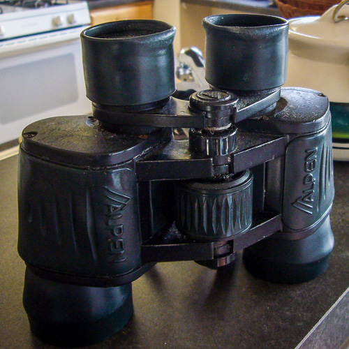 Carlton's well used binoculars. Suitable for a kid.