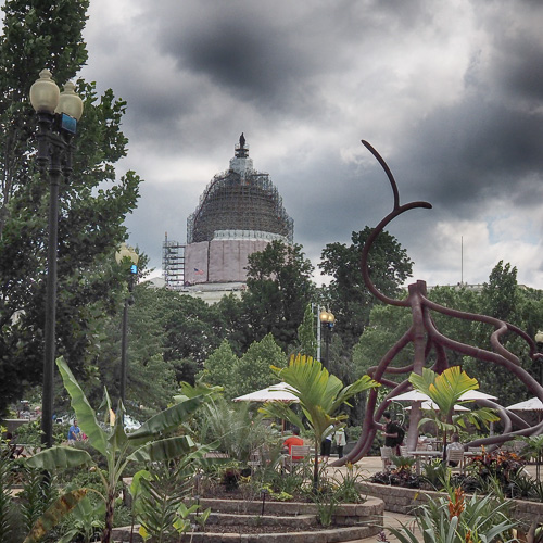 Nation's Capital is looking a little funky these days.