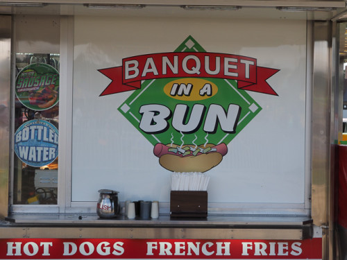 the arlington county fair - what's not to love