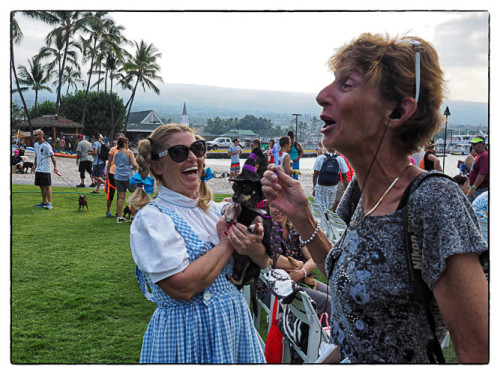 I think the people enjoyed it more than the dogs.