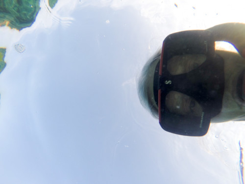 swimming out to the fishes