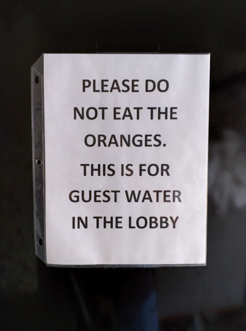 please don't eat the oranges
