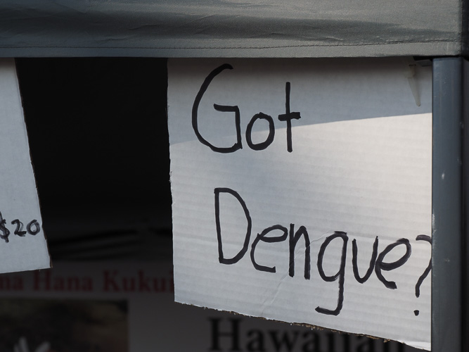 Yep, we got dengue.