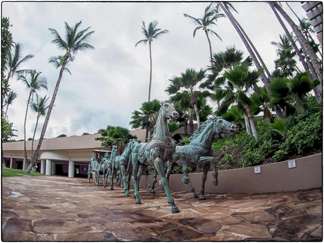 At the Waikoloa Hilton