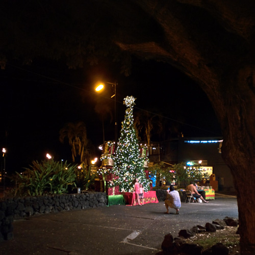 Our Village tree - across the street from "the triangle" where you buy drugs. 