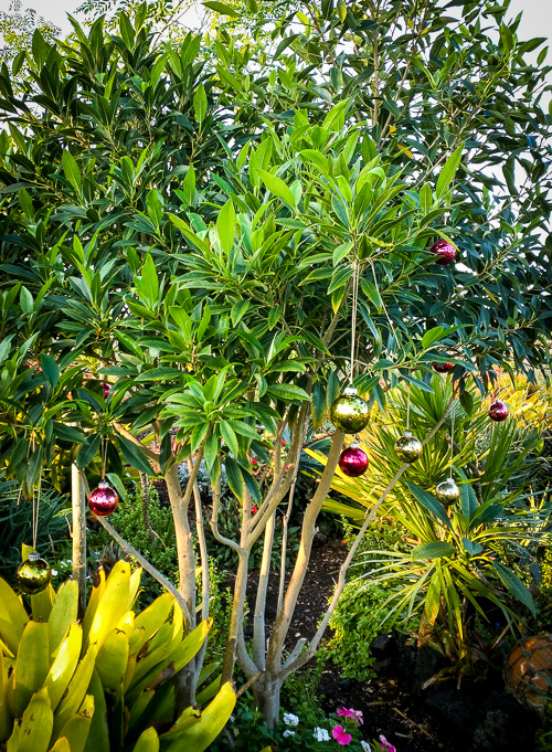 If you decorate it - then it is a Xmas Tree