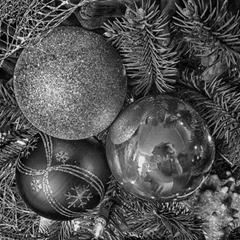 Xmas Trees - great for post processing fun.