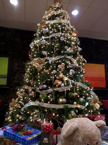 The hotel across the street has a tree.