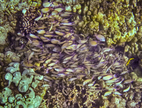 P1000473_HDR