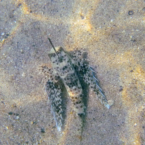 P1000483