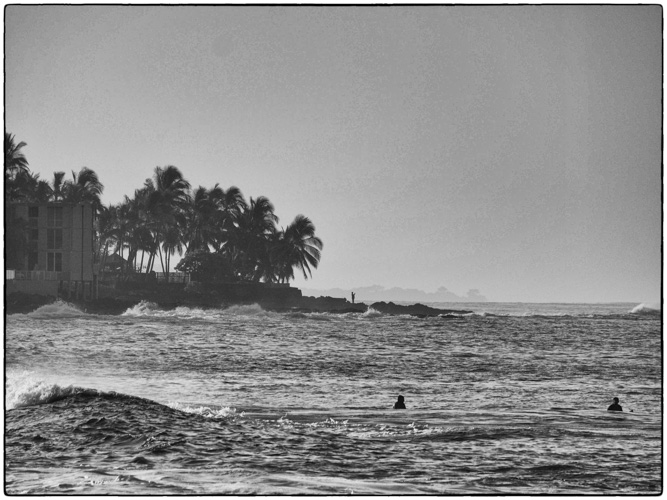 Surf's Up