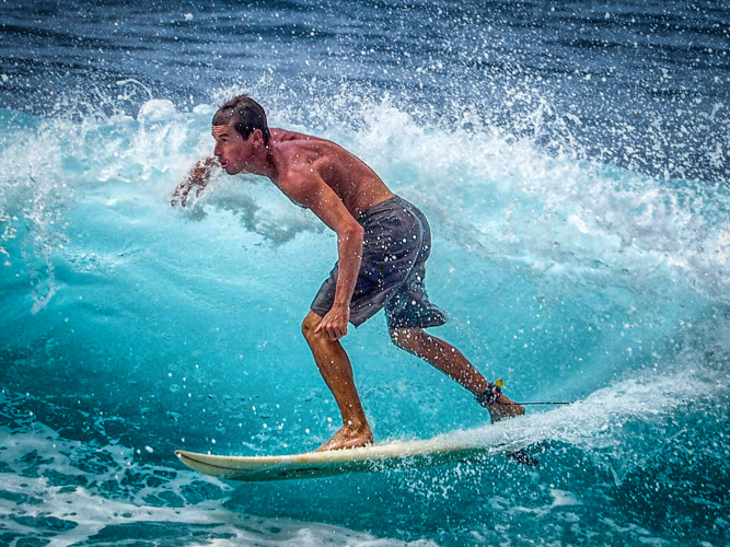 Surf and Sushi Lunch - Honls