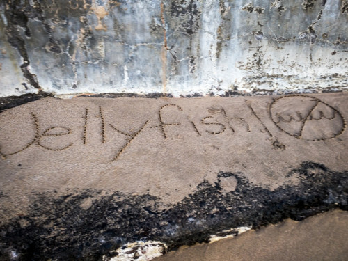 The first swimmers left a warning.