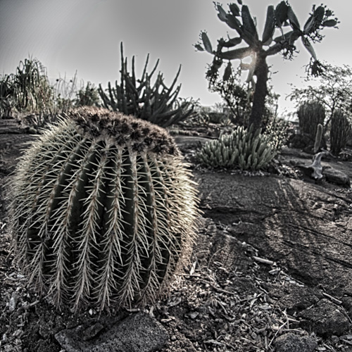 Also, good fun with post processing.