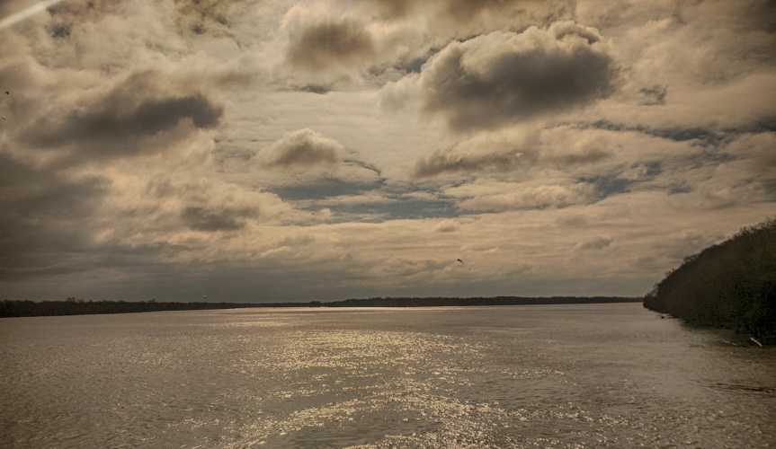 The Mighty Mississippi