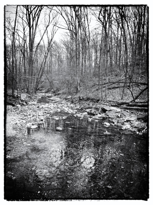 on the way home from the library