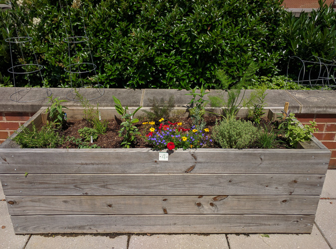 garden day 3