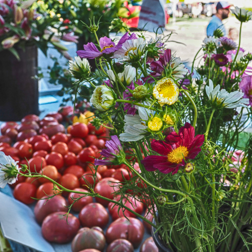 Falls Church Farm Market