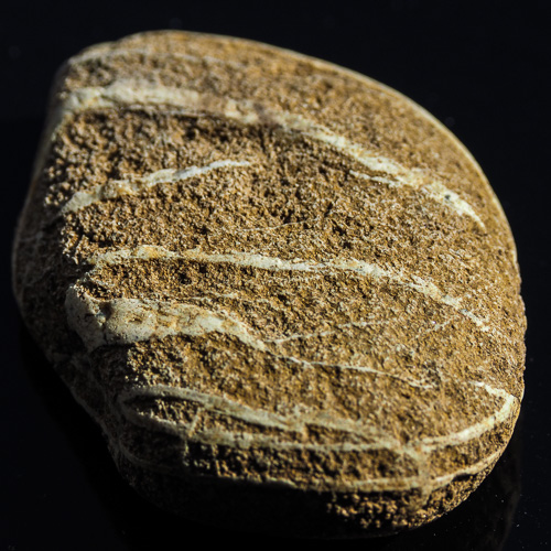 Sandstone/limestone rock