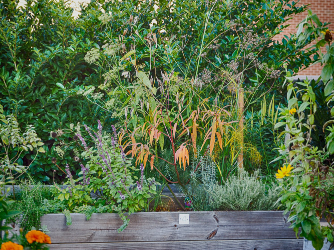 A Last Look - My 11 Square Feet of Dirt