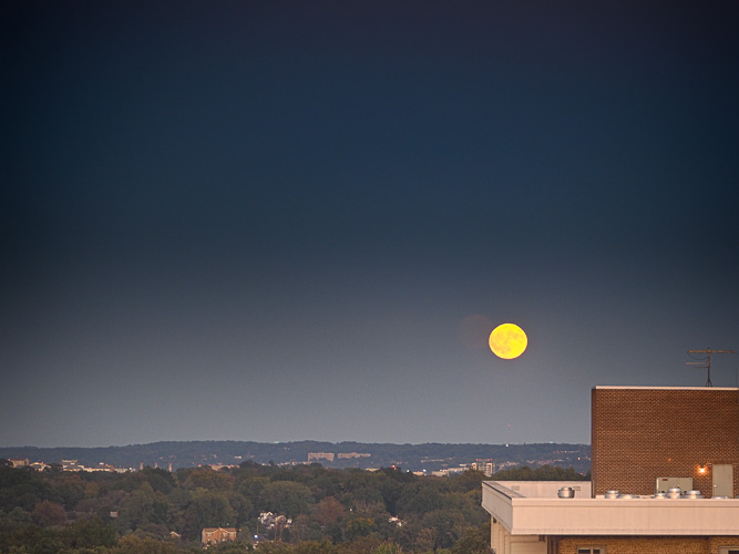 Moonrise over the asylum