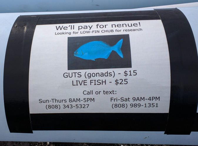 $15 for fish gonads