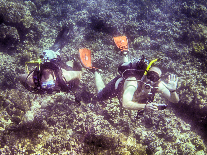 Busy day in the ocean.