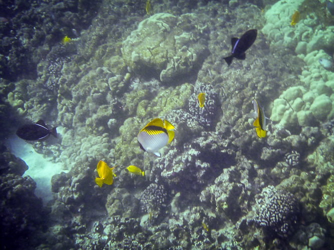 visitors to a cleaning station