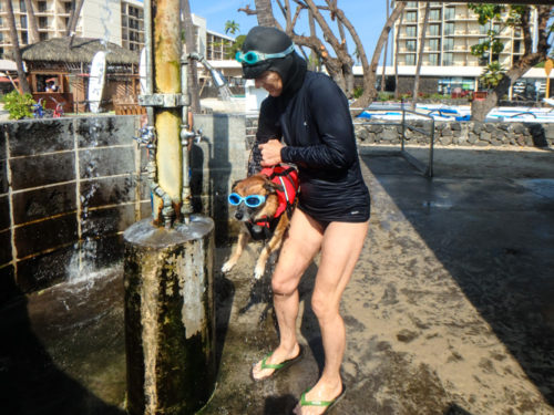 Then, when I got out and went for my shower - I found the dog getting a shower.