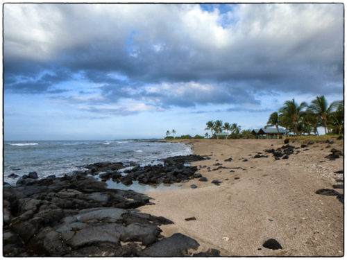 Old Airport Beach - this AM