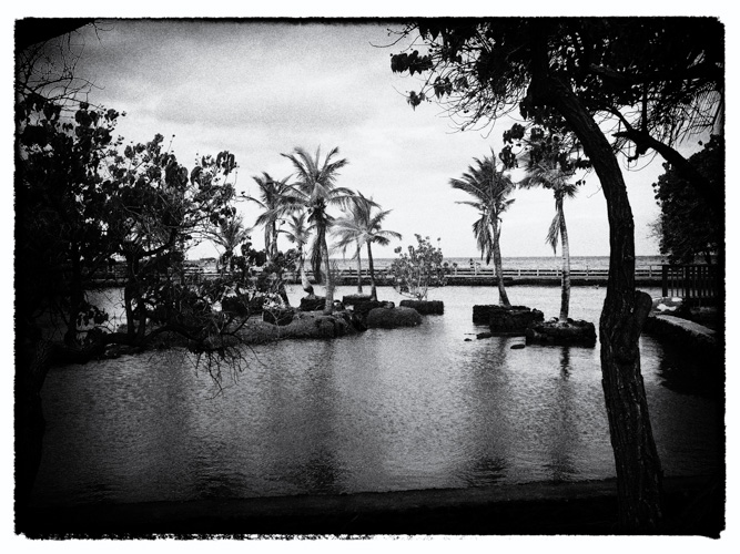 Fish Ponds at Mauna Lani Resort