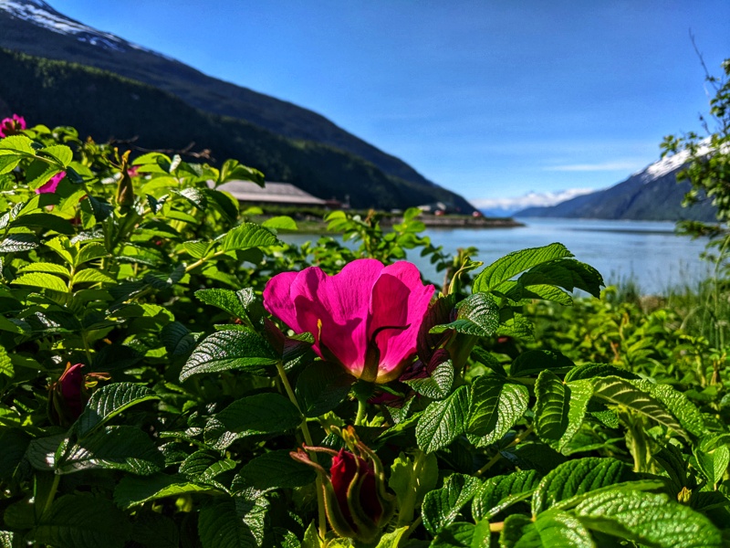 Another glorious Alaska summer day