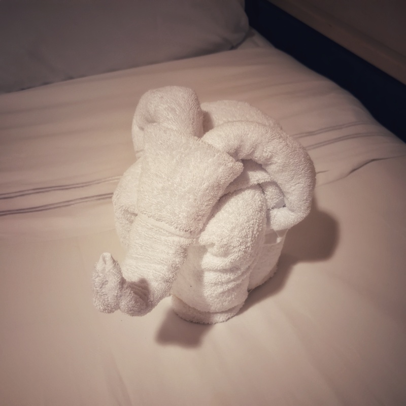 Towel animal elephants.