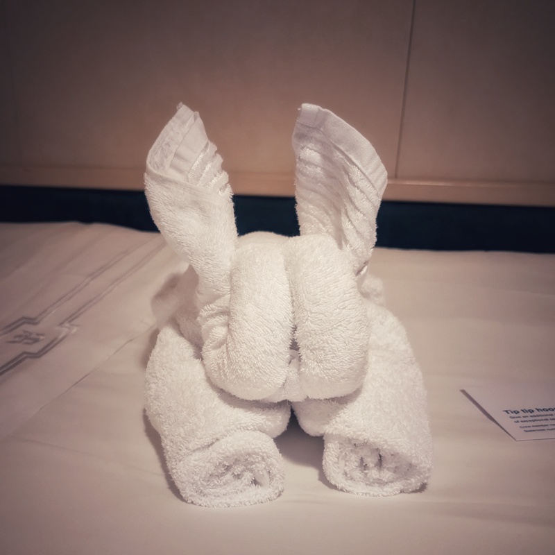 And one last terry critter. A rabbit?